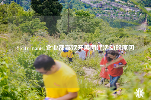 韶关企业都喜欢开展团建活动的原因